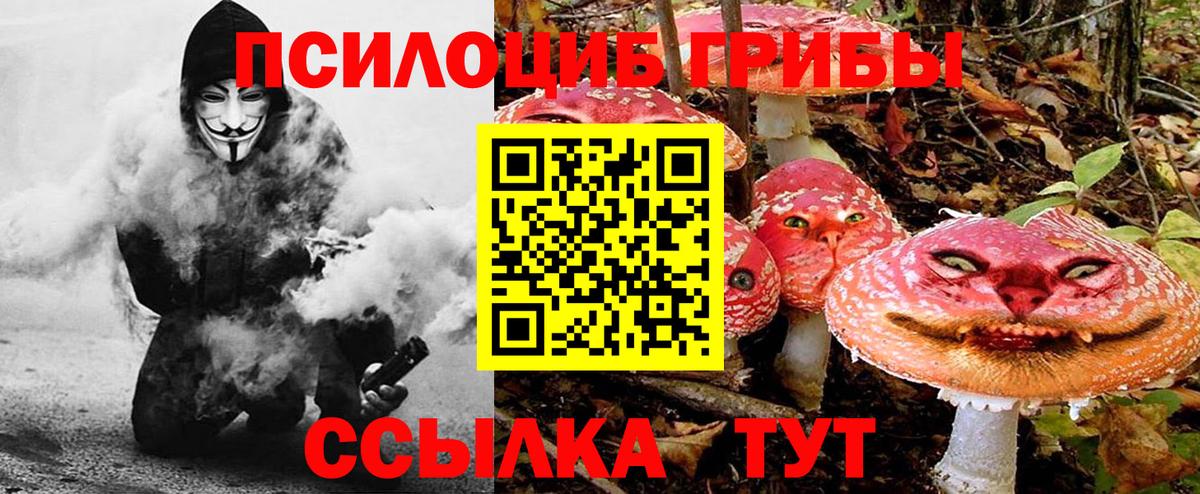 купить  цена  Вход с VPN  Ефремов  Псилоцибиновые грибы Magic Shrooms 