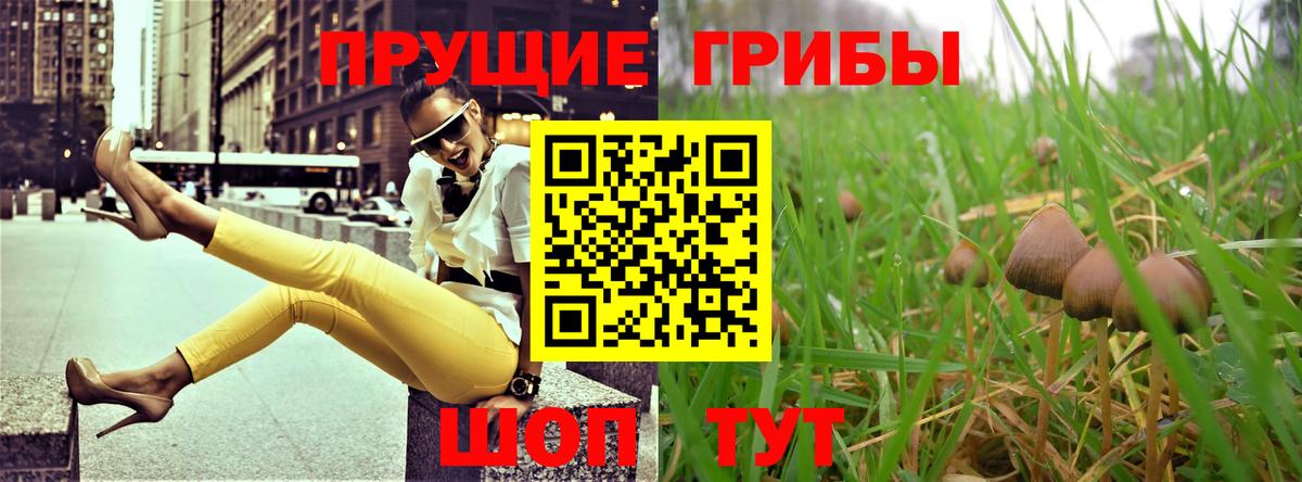 Галлюциногенные грибы GOLDEN TEACHER Ефремов